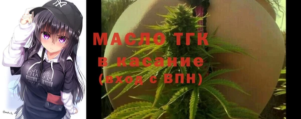 крисы Армянск