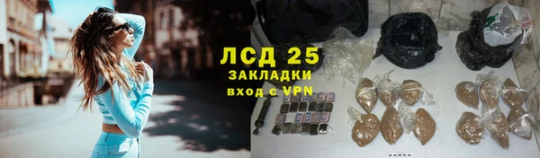 крисы Армянск