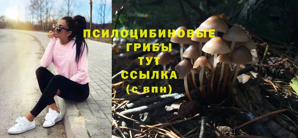 прущие крисы Арсеньев