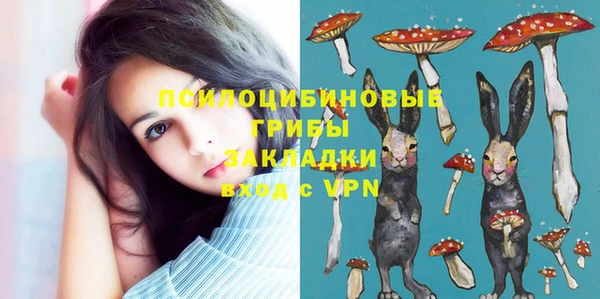 прущие крисы Арсеньев