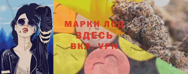 крисы Армянск