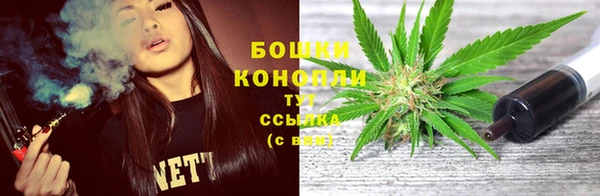 прущие крисы Арсеньев